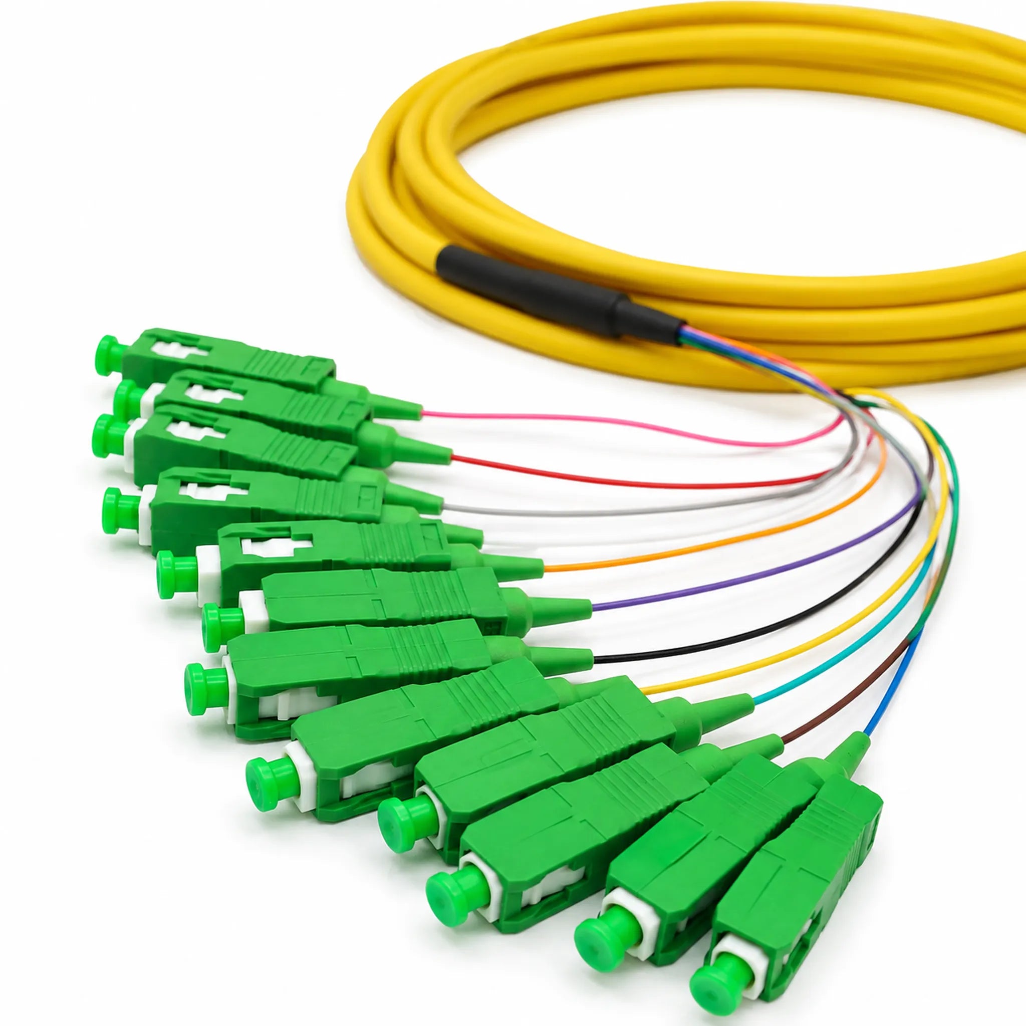 SC to SC APC Single Mode 12-Fiber LSZH Ribbon Fiber Optic Pigtail 3m, Yellow, for Data Center & Telecom