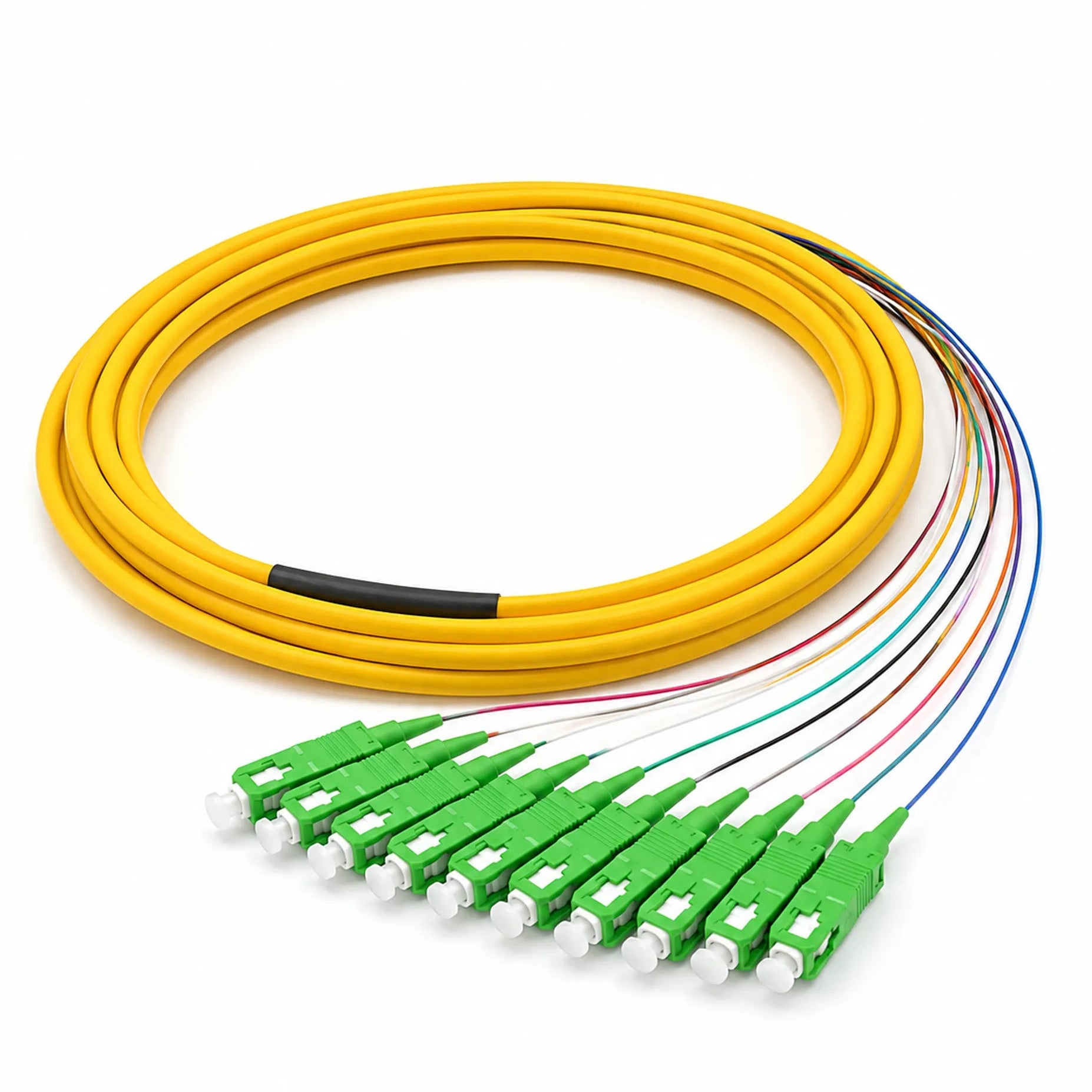SC to SC APC Single Mode 12-Fiber LSZH Ribbon Fiber Optic Pigtail 3m, Yellow, for Data Center & Telecom